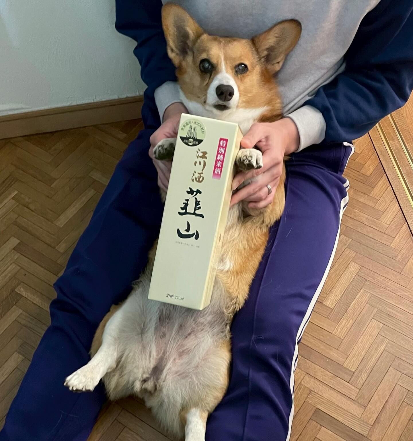 こんにちは