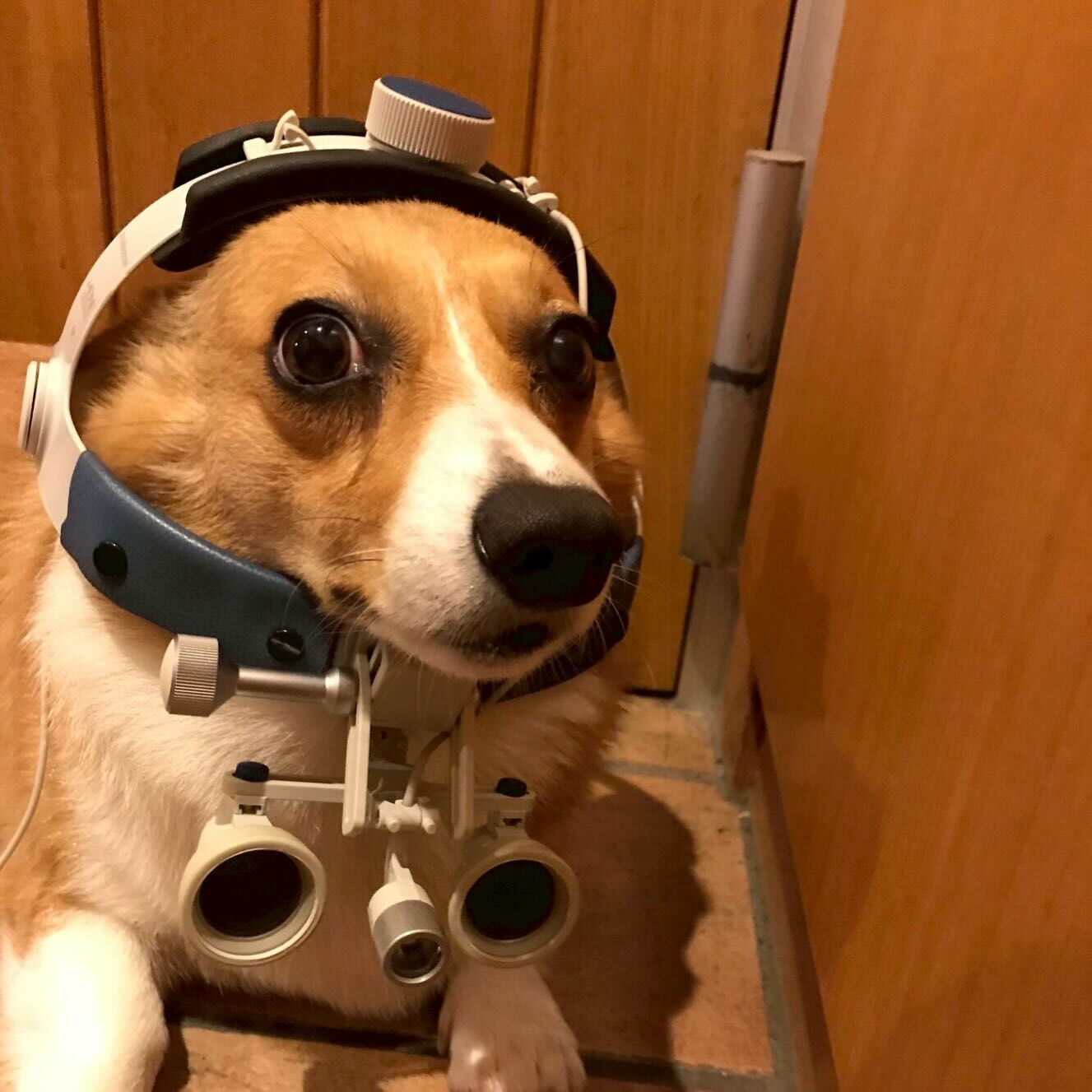 こんにちは