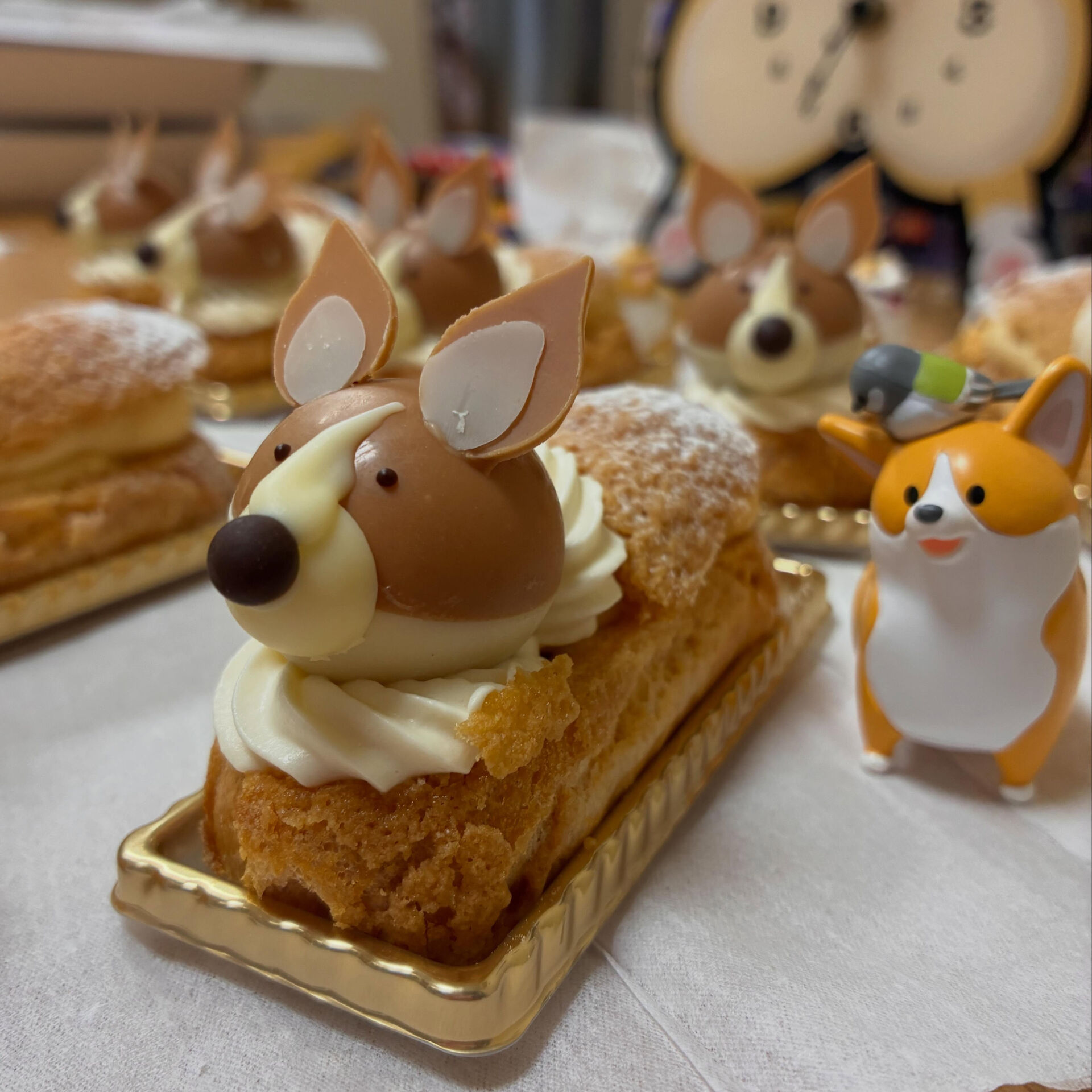 🐶🤎コーギー大集合！🐶🤎
