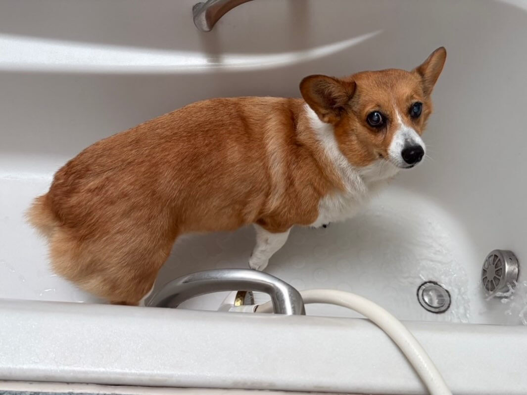 こんにちは